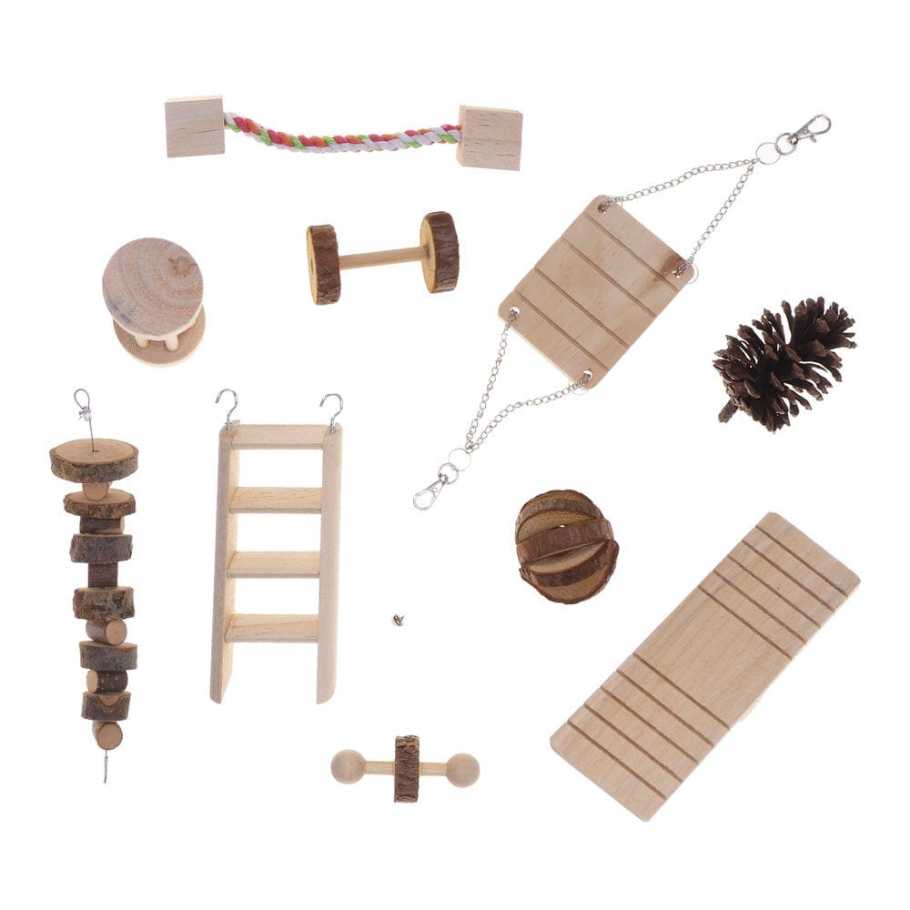 10 Pcs Hamster Chew Toys Natural Wooden Rats Toys Accessories Teeth Care Molar Toy(As Shown)